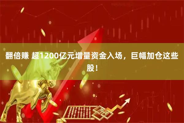 翻倍赚 超1200亿元增量资金入场，巨幅加仓这些股！