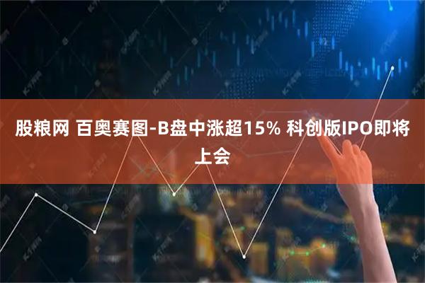 股粮网 百奥赛图-B盘中涨超15% 科创版IPO即将上会