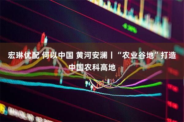 宏琳优配 何以中国 黄河安澜丨“农业谷地”打造中国农科高地