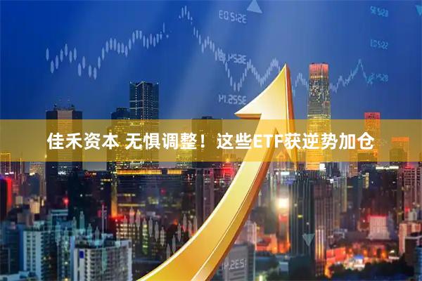 佳禾资本 无惧调整！这些ETF获逆势加仓