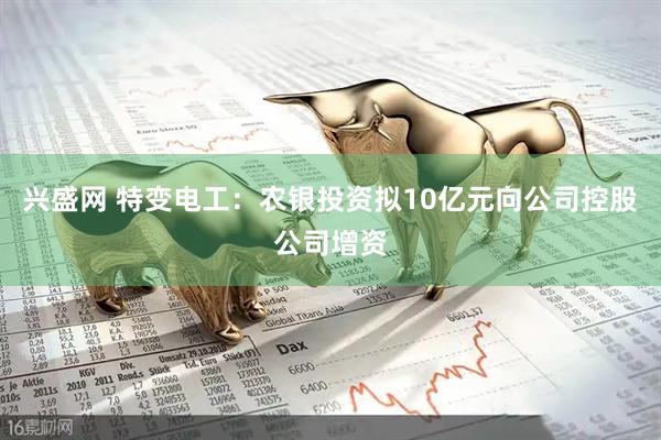兴盛网 特变电工：农银投资拟10亿元向公司控股公司增资