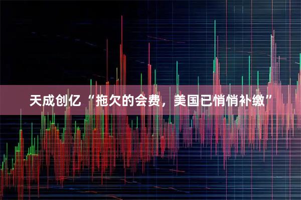 天成创亿 “拖欠的会费,美国已悄悄补缴”
