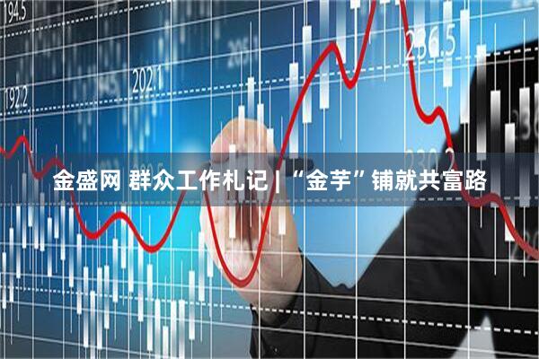 金盛网 群众工作札记 | “金芋”铺就共富路