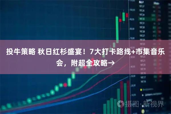 投牛策略 秋日红杉盛宴！7大打卡路线+市集音乐会，附超全攻略→