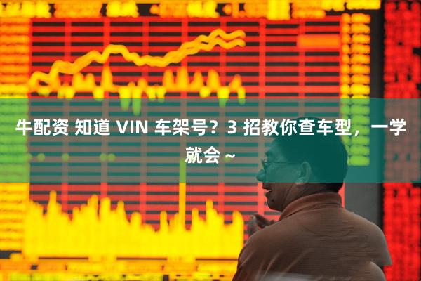 牛配资 知道 VIN 车架号？3 招教你查车型，一学就会～