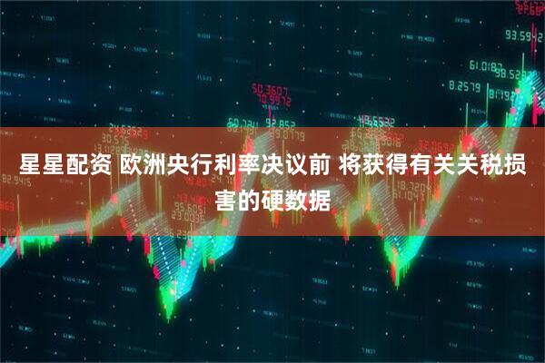 星星配资 欧洲央行利率决议前 将获得有关关税损害的硬数据