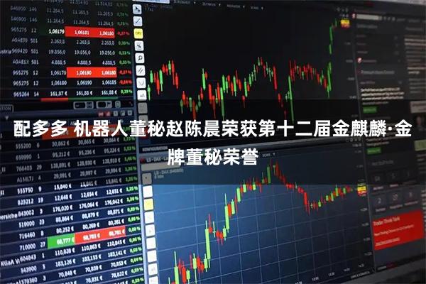 配多多 机器人董秘赵陈晨荣获第十二届金麒麟·金牌董秘荣誉